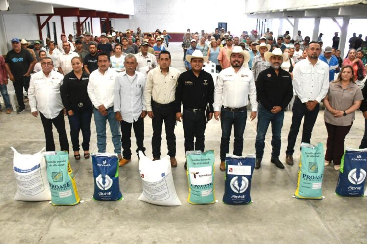 Precio se hunde y sigue SADER dando semilla de sorgo a productores en Tamaulipas