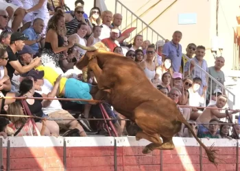 Toro salta a las gradas en un festejo taurino en Navarra, España; deja dos heridos graves