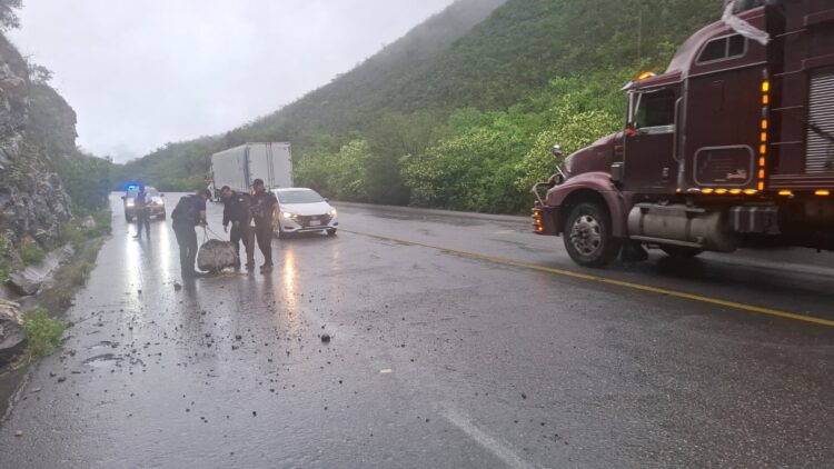Reportan deslaves en la carretera Cd. Victoria-San Luis Potosí, tramo “Rumbo Nuevo”