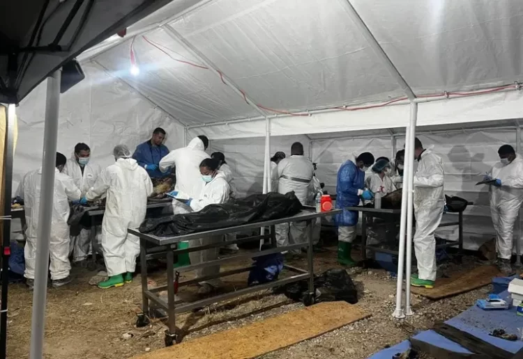 Identifican 14 de los 386 cuerpos hallados en crematorio de Ciudad Juárez