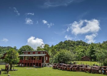 La Reserva de la Biósfera “El Cielo” una de las maravillas en las sierras de Tamaulipas