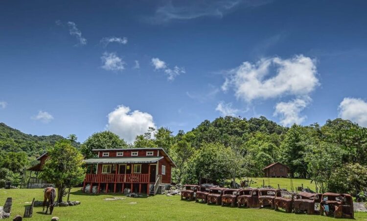 La Reserva de la Biósfera “El Cielo” una de las maravillas en las sierras de Tamaulipas