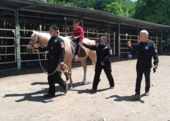 Apoya Agrupamiento Montado de la Guardia Estatal con equinoterapia a personas con discapacidad