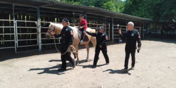 Apoya Agrupamiento Montado de la Guardia Estatal con equinoterapia a personas con discapacidad