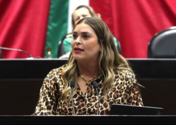 Piden endurecer medidas de seguridad hospitalaria para evitar robo o sustracción de recién nacidos