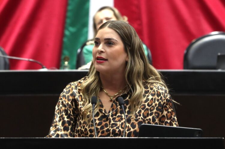 Piden endurecer medidas de seguridad hospitalaria para evitar robo o sustracción de recién nacidos