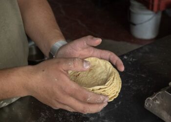 Arranca convocatoria para que tortillerías se adhieran al Acuerdo Nacional Maíz–Tortilla