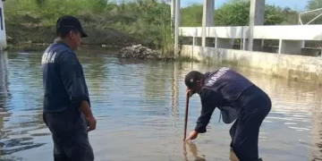 Secretaría de Marina apoya a afectados por Tormenta “Barry” en Tampico