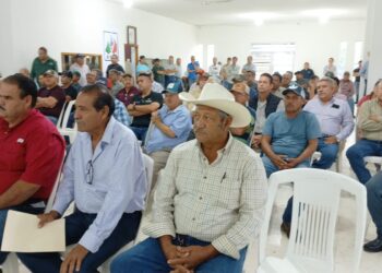 Sorgueros de Tamaulipas definen este lunes si bloquean carreteras y puentes ante sordera de SADER