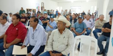 Sorgueros de Tamaulipas definen este lunes si bloquean carreteras y puentes ante sordera de SADER