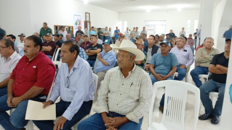 Sorgueros de Tamaulipas definen este lunes si bloquean carreteras y puentes ante sordera de SADER