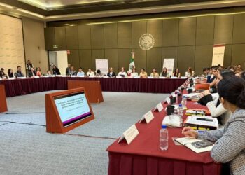 Se integra Tamaulipas al Consejo Consultivo Nacional del SIPINNA