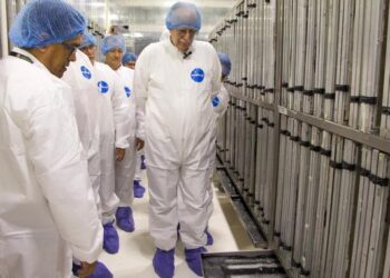 Construyen en Chiapas planta de moscas estériles para combate biológico al gusano barrenador del ganado