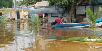 Se desborda laguna Champayán en Altamira tras escurrimientos de Barry