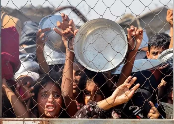 Gaza al borde de la hambruna: advierten de “muertes generalizadas”