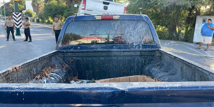 Choque lis deja sin barbacoa