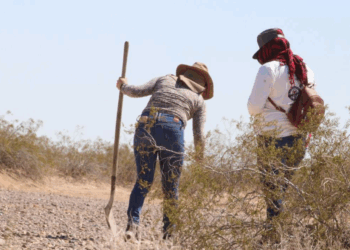 ONU exige protección y reconocimiento para madres buscadoras en México