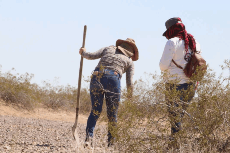 ONU exige protección y reconocimiento para madres buscadoras en México