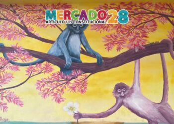 Plazas, playas y paraísos: el otro lado de Cancún más allá del all inclusive