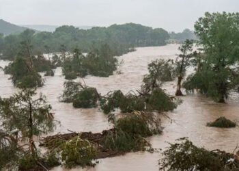 Texas iza banderas a media asta por víctimas