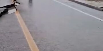 Causó “Barry” daños por 40 mdp a red carretera de Tamaulipas