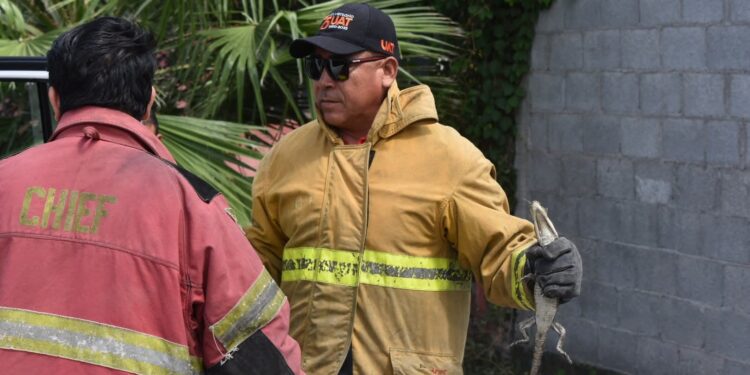 Encuentran cocodrilo en vivienda de la colonia Estudiantil