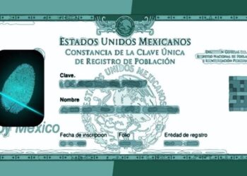 CURP Biométrico 2025: estos son los lugares donde el documento será obligatorio