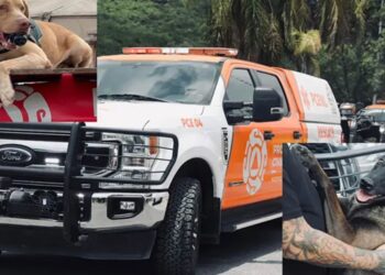 Elementos de PC y equipo canino salen de Nuevo León para apoyar en Texas
