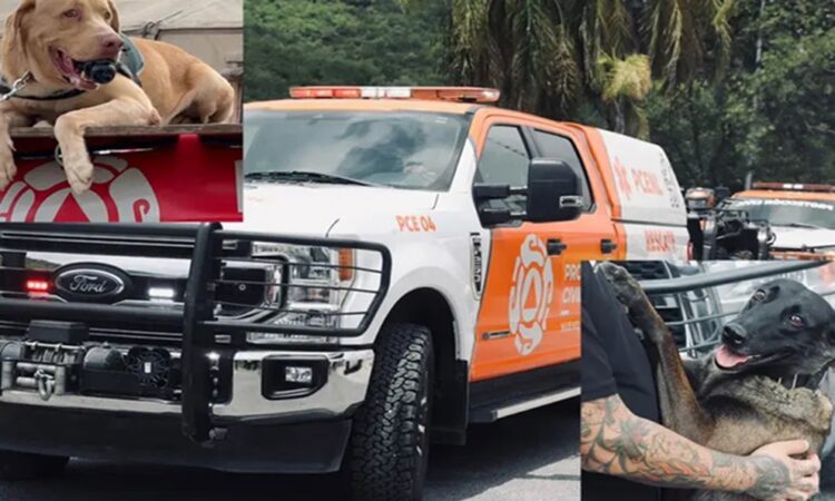 Elementos de PC y equipo canino salen de Nuevo León para apoyar en Texas
