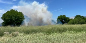 Sofoca Bomberos incendio en zacatal