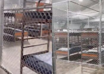 Sheinbaum confirma que hay 14 mexicanos detenidos en “Alligator Alcatraz”