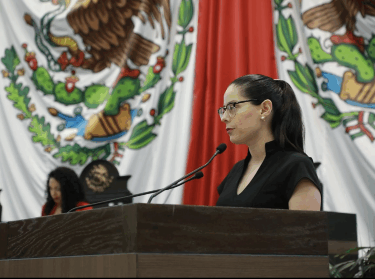 Plantean reforma a la ley de educación para mejorar la seguridad vial de niños y jóvenes