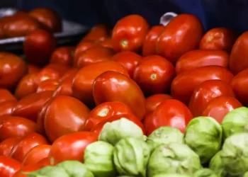 Economía y Agricultura fijan precios mínimos para exportar jitomate