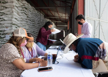 Amplia AGRICULTURA plazos para registrarse al programa Fertilizantes para el Bienestar