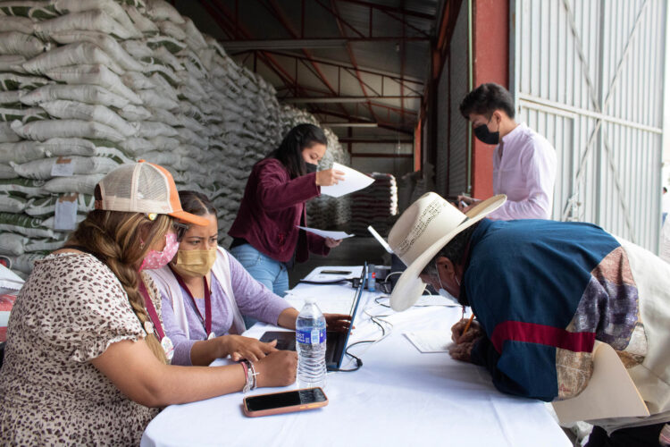 Amplia AGRICULTURA plazos para registrarse al programa Fertilizantes para el Bienestar