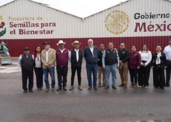 Impulsan producción de frijol con semilla mejorada en Zacatecas, Durango y Nayarit