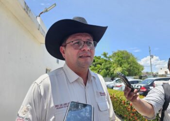 Más de 15 mil mujeres de Tamaulipas se registran en la Pensión Bienestar