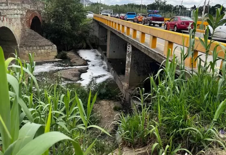 Retrocede México 24 lugares en el Índice de Desempeño Ambiental