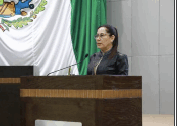 Diputada plantea un exhorto a la Secretaría de Energía de Tamaulipas