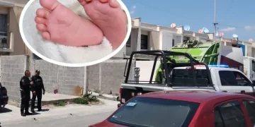 Revelan causas de muerte de bebé hallada en camión de basura en Nuevo León