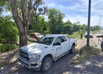 Hombre de 50 años de suicida colgándose de un árbol frente a “Los Pinos”