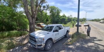 Hombre de 50 años de suicida colgándose de un árbol frente a “Los Pinos”
