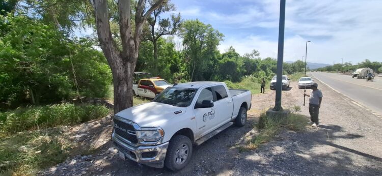 Hombre de 50 años de suicida colgándose de un árbol frente a “Los Pinos”