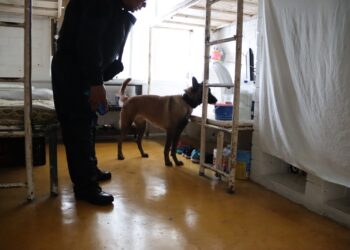 Supervisiones a los CEDES son permanentes