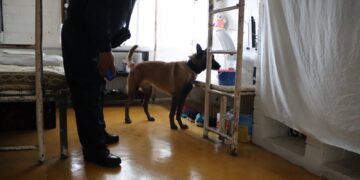 Supervisiones a los CEDES son permanentes