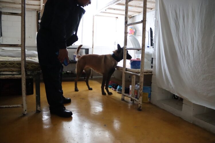 Supervisiones a los CEDES son permanentes