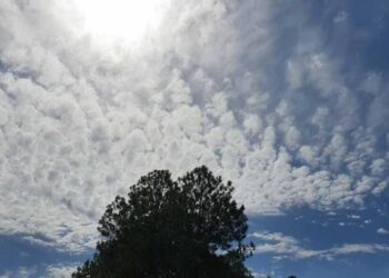 Clima en México hoy: fuertes lluvias y calor sofocante este 28 de agosto