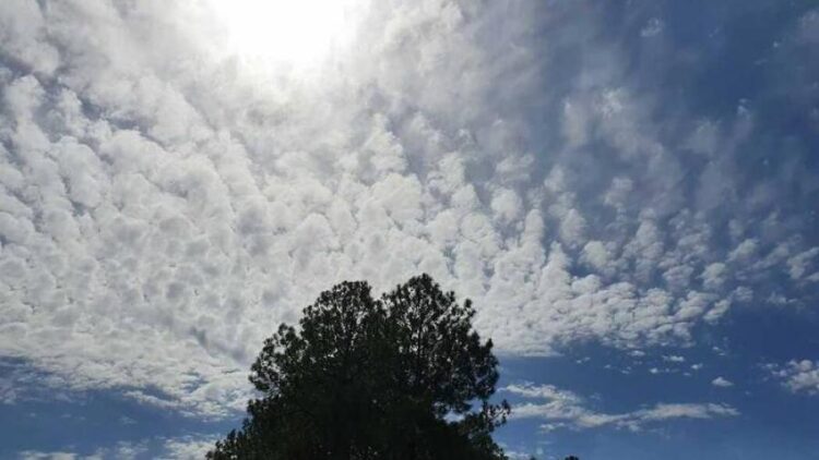 Clima en México hoy: fuertes lluvias y calor sofocante este 28 de agosto