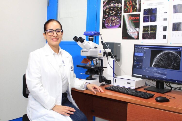 Investigadores de la UAT obtienen certificación nacional SNII