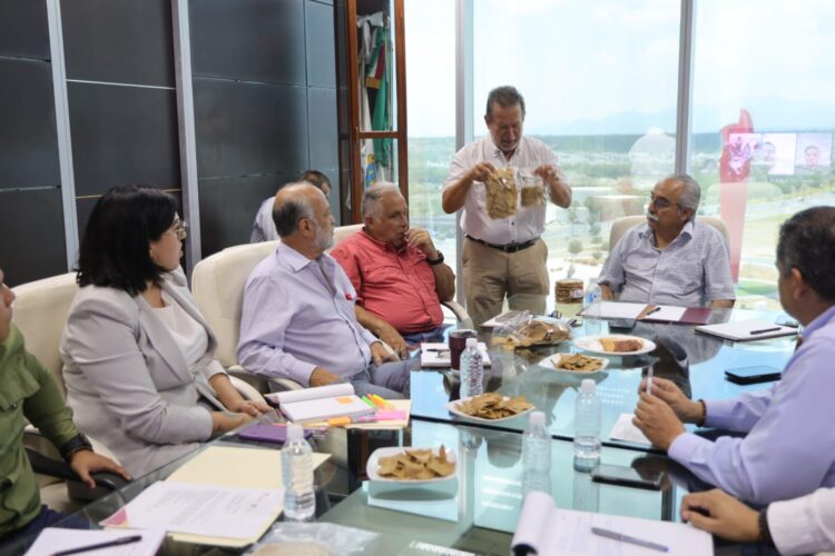 Impulsan uso del sorgo blanco en la elaboración de tortillas en Tamaulipas